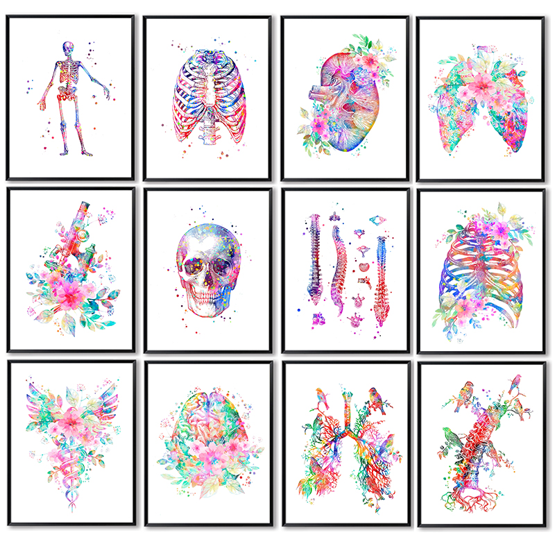 Medical Lab Posters - โปสเตอร์ทางการแพทย์ ภาพวาดดอกไม้บนผืนผ้าใบ ศิลปะตกแต่งผนัง ภาพประกอบทางมนุษยวิทยา สำหรับตกแต่งห้องแพทย์ในห้องปฏิบัติการ