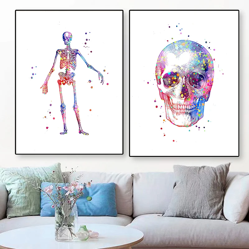 โปสเตอร์กายวิภาคศาสตร์แบบไม่มี - Medical Lab Posters บทวิจารณ์และราคา