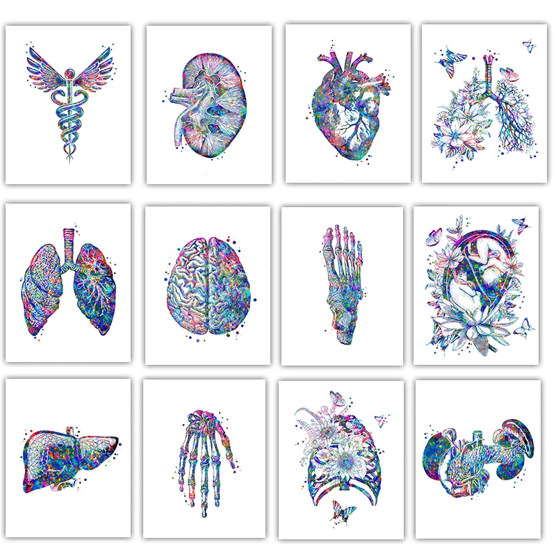 โปสเตอร์ทางการแพทย์ ภาพวาดดอกไ - Medical Lab Posters บทวิจารณ์และราคา
